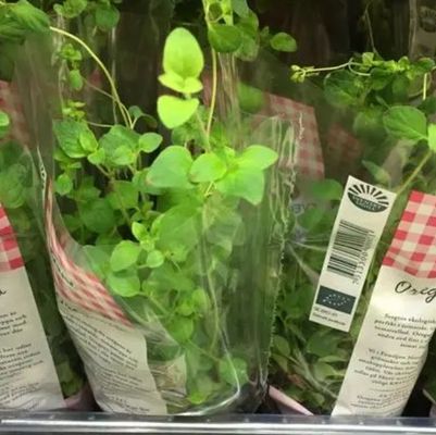 Impresión personalizada de películas transparentes BOPP para envolver flores y plantas