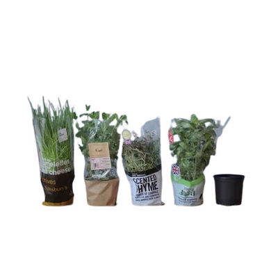 Impresión personalizada de películas transparentes BOPP para envolver flores y plantas