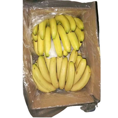 Bolsas de cartón transparente para vegetales Bolsas de polietileno con agujeros