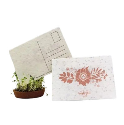 Papel personalizado de semillas de hierbas impreso de semillas de hierbas