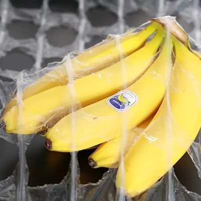 Película de estiramiento de LDPE para alimentos y plantas de 500 mm x 1420 m con 250% de alargamiento y material duradero